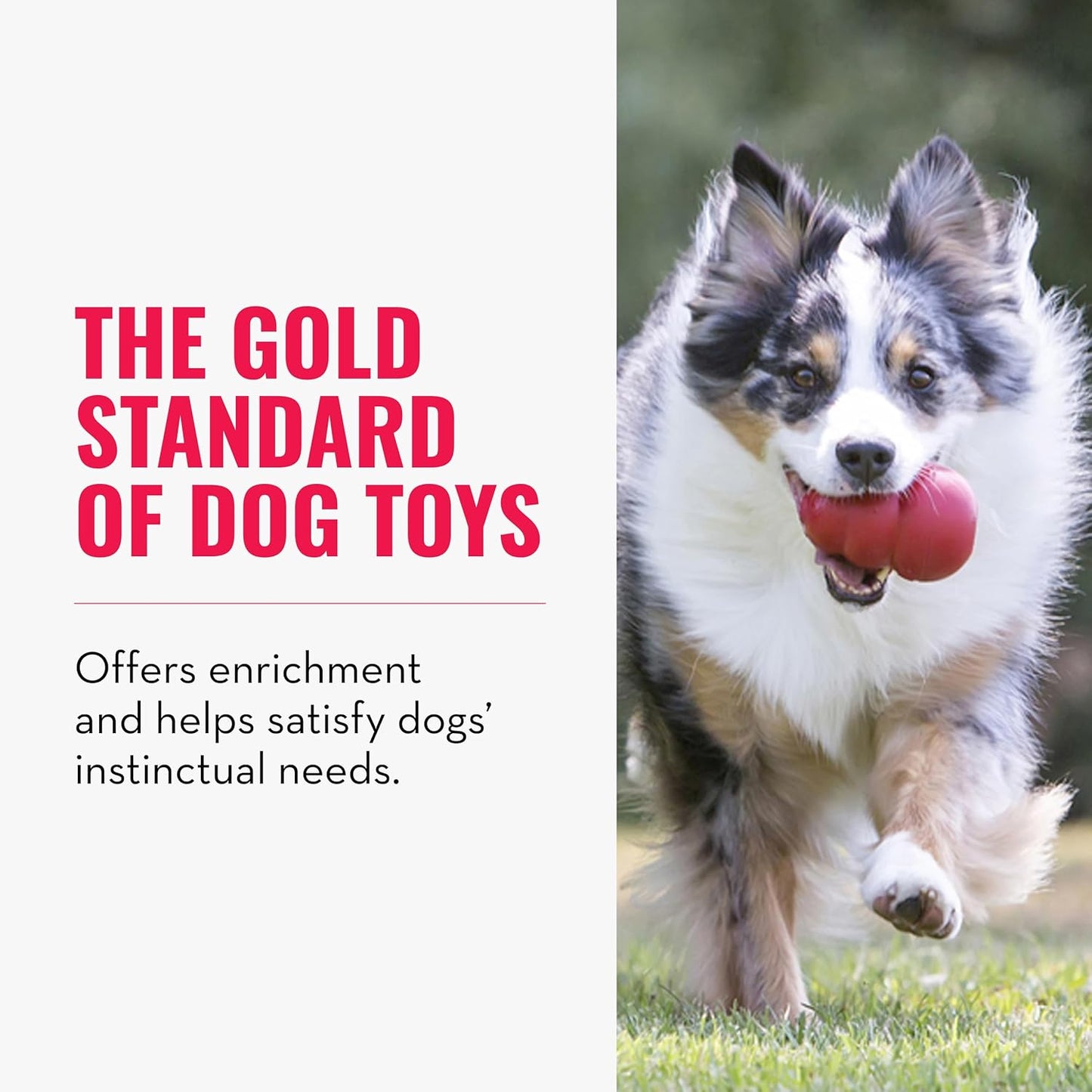 Classic Enrichment Dog Toy