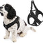 No-Pull Walking Harness