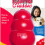 Classic Enrichment Dog Toy