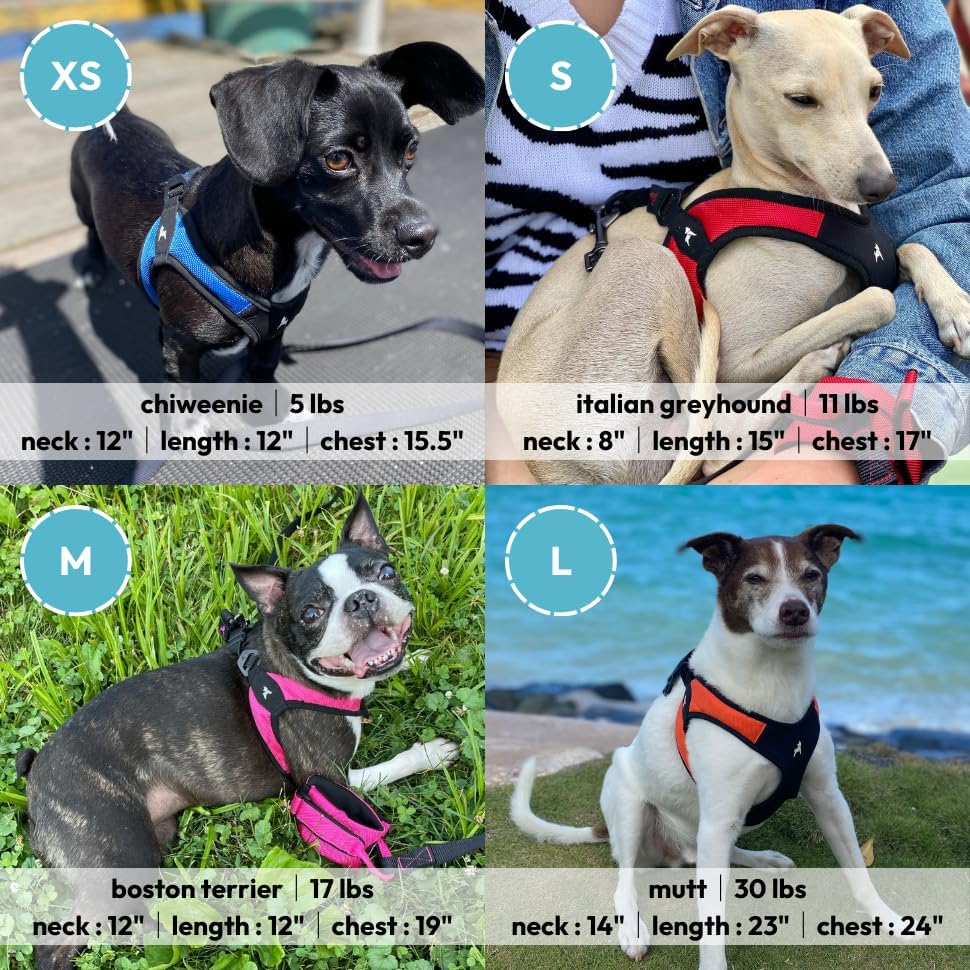 No-Pull Walking Harness