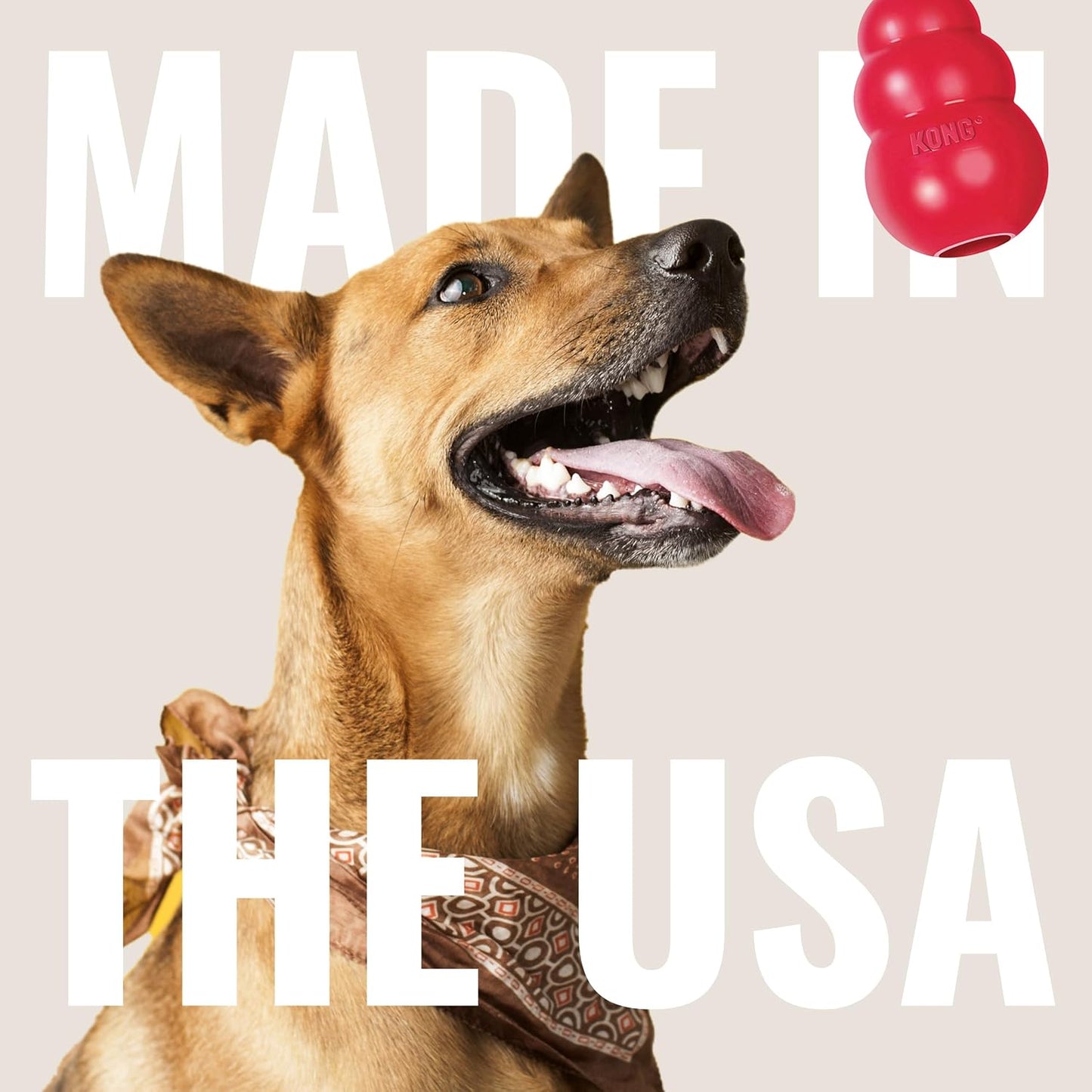 Classic Enrichment Dog Toy
