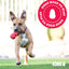 Classic Enrichment Dog Toy