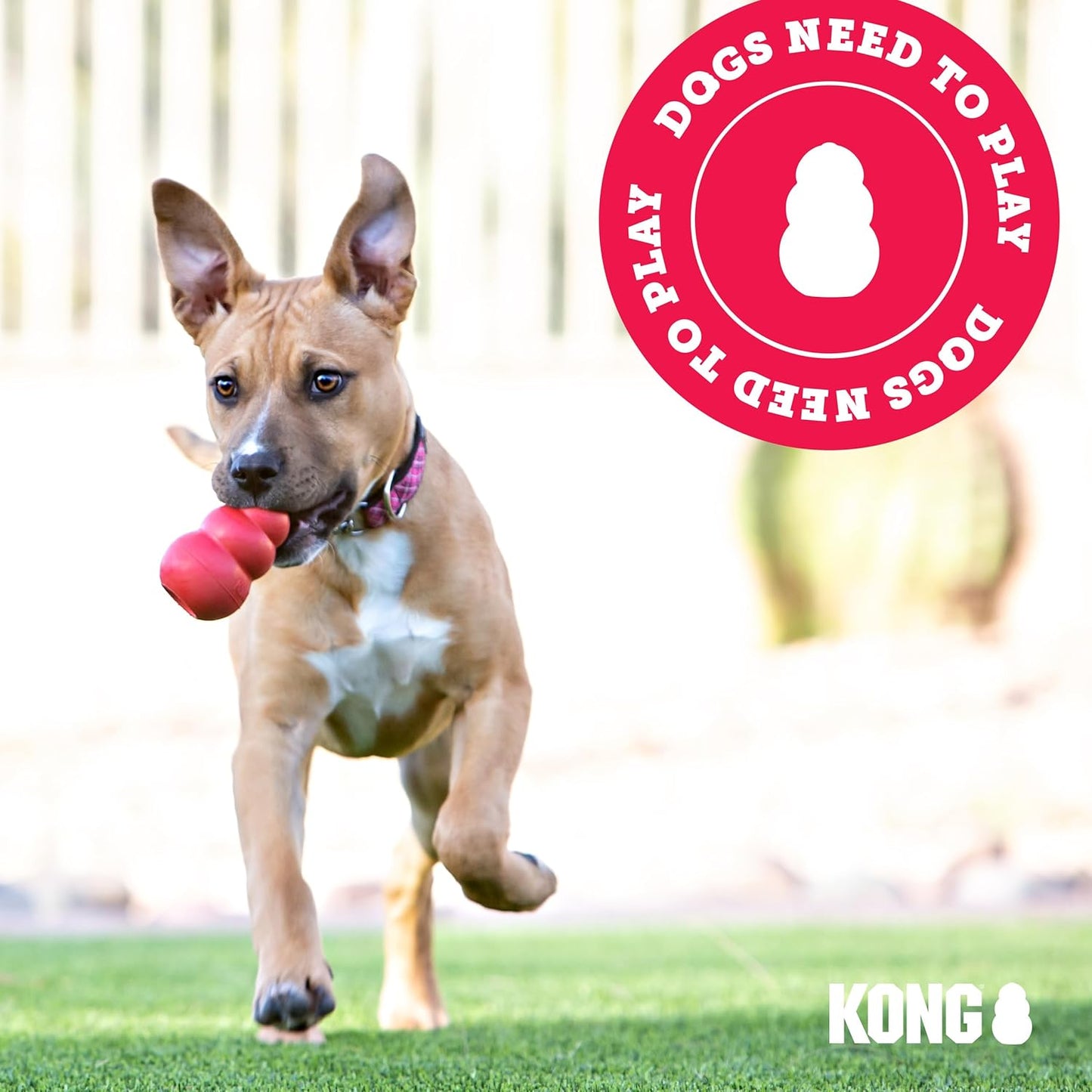 Classic Enrichment Dog Toy