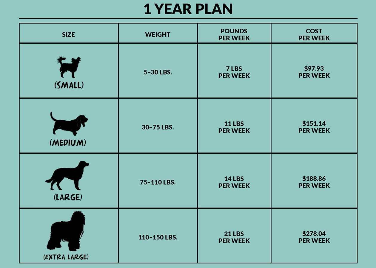 1 Year Subscription | 4 Payments | Discounted Weekly Savings