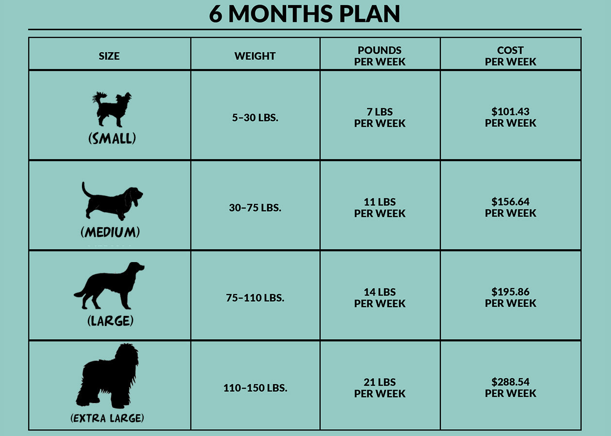6 Months Subscription | 3 Payments | Discounted Weekly Savings